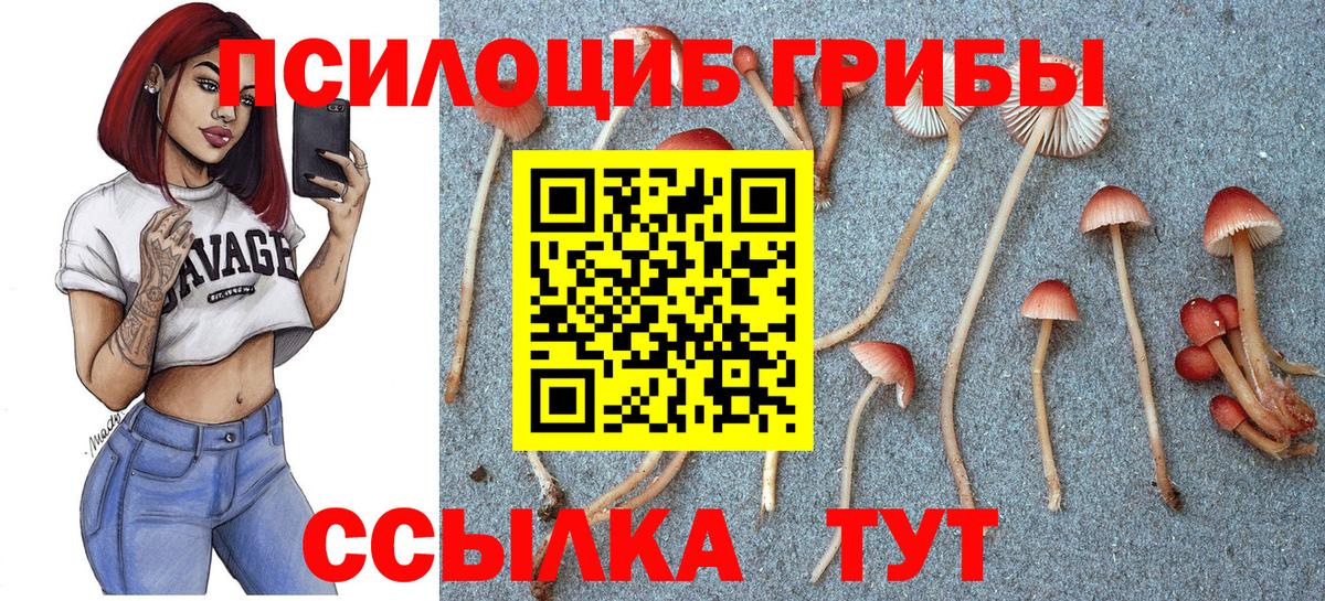 Псилоцибиновые грибы прущие грибы  купить наркоту  Семёнов  Вход с VPN 